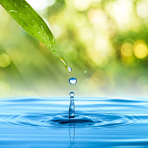 Regenwater gebruiken voor huishoudelijke taken